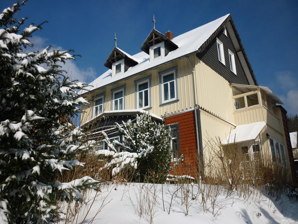 Pension Haus Martha Bad Grund Buitenkant foto