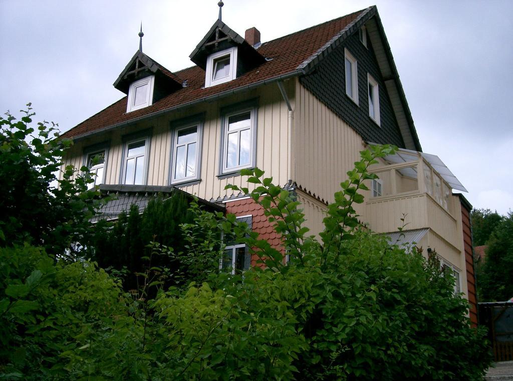Pension Haus Martha Bad Grund Buitenkant foto