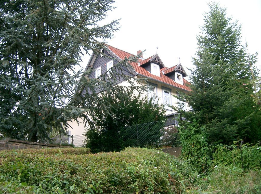 Pension Haus Martha Bad Grund Buitenkant foto